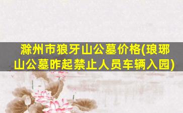 滁州市狼牙山公墓价格(琅琊山公墓昨起禁止人员车辆入园)