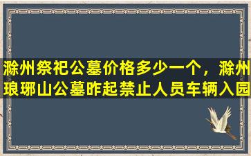 滁州祭祀公墓价格多少一个，滁州琅琊山公墓昨起禁止人员车辆入园