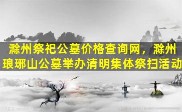 滁州祭祀公墓价格查询网，滁州琅琊山公墓举办清明集体祭扫活动