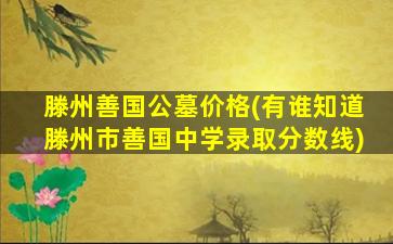 滕州善国公墓价格(有谁知道滕州市善国中学录取分数线)
