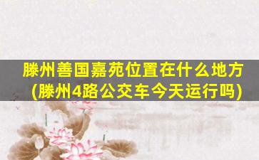 滕州善国嘉苑位置在什么地方(滕州4路公交车今天运行吗)