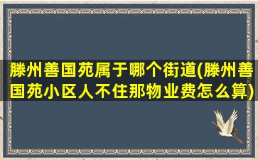 滕州善国苑属于哪个街道(滕州善国苑小区人不住那物业费怎么算)