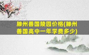 滕州善国陵园价格(滕州善国高中一年学费多少)