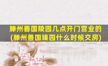 滕州善国陵园几点开门营业的(滕州善国臻园什么时候交房)