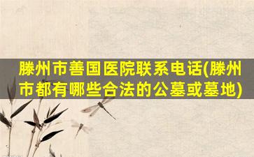 滕州市善国医院联系电话(滕州市都有哪些合法的公墓或墓地)