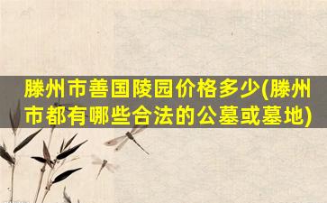 滕州市善国陵园价格多少(滕州市都有哪些合法的公墓或墓地)