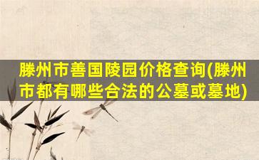 滕州市善国陵园价格查询(滕州市都有哪些合法的公墓或墓地)