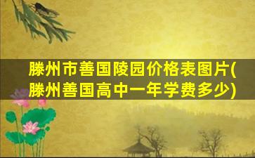 滕州市善国陵园价格表图片(滕州善国高中一年学费多少)