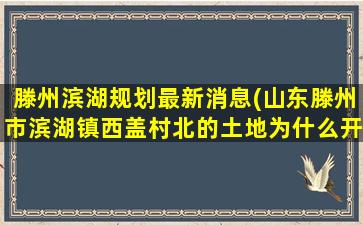 滕州滨湖规划最新消息(山东滕州市滨湖镇西盖村北的土地为什么开发半路又停了)
