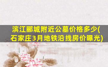 滨江郦城附近公墓价格多少(石家庄3月地铁沿线房价曝光)