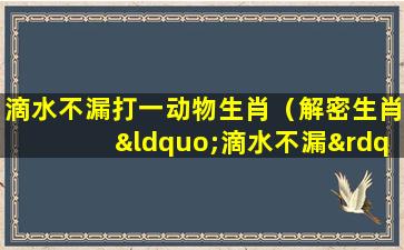 滴水不漏打一动物生肖（解密生肖“滴水不漏”：水牛、猪猪、鼠鼠等欢庆新年的故事）