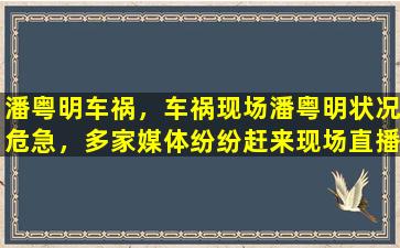 潘粤明车祸，车祸现场潘粤明状况危急，多家媒体纷纷赶来现场直播