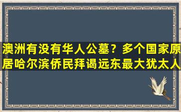 澳洲有没有华人公墓？多个国家原居哈尔滨侨民拜谒远东最大犹太人公墓