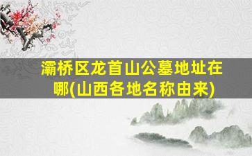 灞桥区龙首山公墓地址在哪(山西各地名称由来)