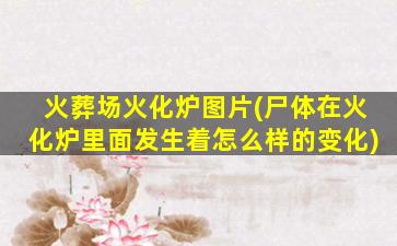 火葬场火化炉图片(尸体在火化炉里面发生着怎么样的变化)