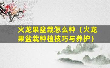 火龙果盆栽怎么种（火龙果盆栽种植技巧与养护）