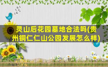 灵山后花园墓地合法吗(贵州铜仁仁山公园发展怎么样)