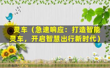 灵车（急速响应：打造智能灵车，开启智慧出行新时代）