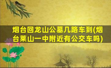 烟台回龙山公墓几路车到(烟台莱山一中附近有公交车吗)