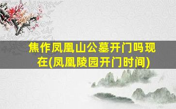 焦作凤凰山公墓开门吗现在(凤凰陵园开门时间)