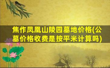 焦作凤凰山陵园墓地价格(公墓价格收费是按平米计算吗)