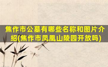 焦作市公墓有哪些名称和图片介绍(焦作市凤凰山陵园开放吗)