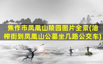 焦作市凤凰山陵园图片全景(油榨街到凤凰山公墓坐几路公交车)