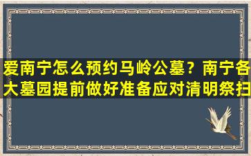 爱南宁怎么预约马岭公墓？南宁各大墓园提前做好准备应对清明祭扫高峰