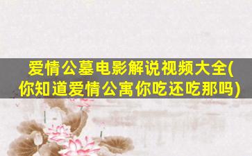 爱情公墓电影解说视频大全(你知道爱情公寓你吃还吃那吗)