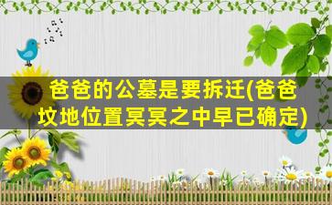 爸爸的公墓是要拆迁(爸爸坟地位置冥冥之中早已确定)