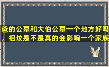 爸的公墓和大伯公墓一个地方好吗，祖坟是不是真的会影响一个家族的运势
