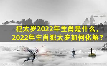 犯太岁2022年生肖是什么，2022年生肖犯太岁如何化解？