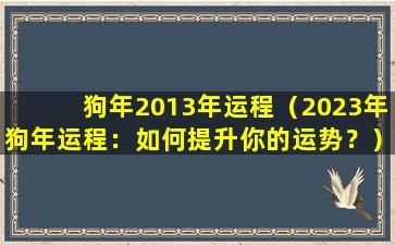 狗年2013年运程（2023年狗年运程：如何提升你的运势？）