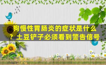 狗慢性胃肠炎的症状是什么？土豆铲子必须看到警告信号