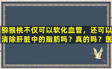 猕猴桃不仅可以软化血管，还可以清除肝脏中的脂肪吗？真的吗？医生回答你