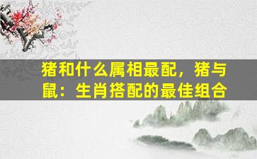 猪和什么属相最配，猪与鼠：生肖搭配的最佳组合