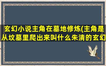 玄幻小说主角在墓地修炼(主角是从坟墓里爬出来叫什么朱清的玄幻小说)