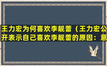 王力宏为何喜欢李靓蕾（王力宏公开表示自己喜欢李靓蕾的原因：意外的和谐共鸣）