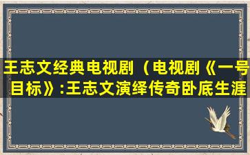 王志文经典电视剧（电视剧《一号目标》:王志文演绎传奇卧底生涯）