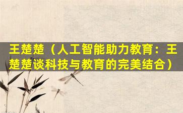 王楚楚（人工智能助力教育：王楚楚谈科技与教育的完美结合）
