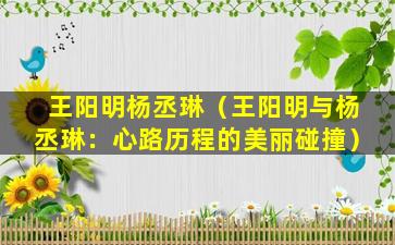 王阳明杨丞琳（王阳明与杨丞琳：心路历程的美丽碰撞）