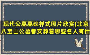 现代公墓墓碑样式图片欣赏(北京八宝山公墓都安葬着哪些名人有什么故事)
