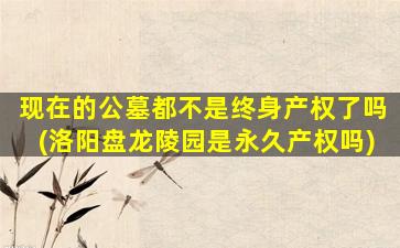 现在的公墓都不是终身产权了吗(洛阳盘龙陵园是永久产权吗)