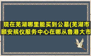 现在芜湖哪里能买到公墓(芜湖市颐安殡仪服务中心在哪从鲁港大市场坐公交可以到吗)