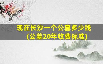 现在长沙一个公墓多少钱(公墓20年收费标准)