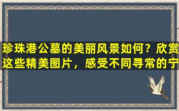 珍珠港公墓的美丽风景如何？欣赏这些精美图片，感受不同寻常的宁静氛围！