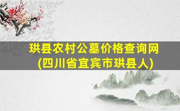 珙县农村公墓价格查询网(四川省宜宾市珙县人)