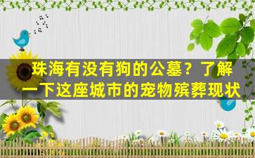 珠海有没有狗的公墓？了解一下这座城市的宠物殡葬现状
