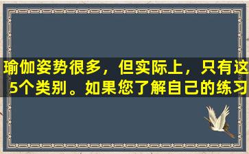 瑜伽姿势很多，但实际上，只有这5个类别。如果您了解自己的练习，那就更有效！