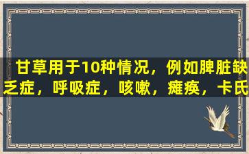 甘草用于10种情况，例如脾脏缺乏症，呼吸症，咳嗽，瘫痪，卡氏菌等。它具有良好的效果